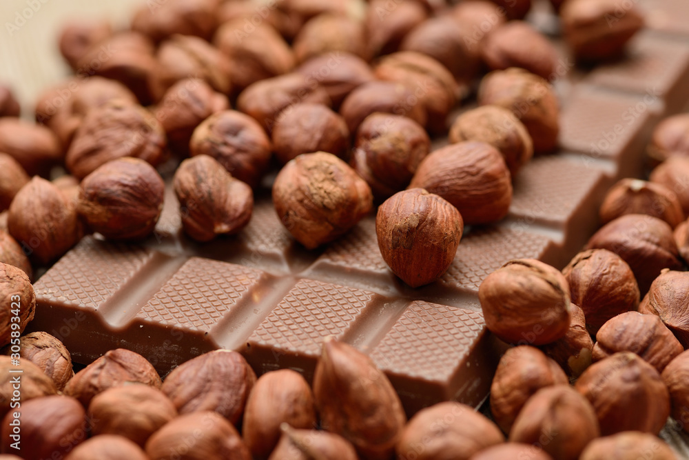chocolate with hazelnuts chocolate with hazelnuts
