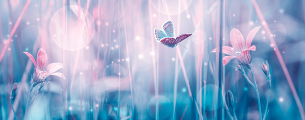 Dreamy spring bellflowers bloom, butterfly close-up, sunlight panorama. Spring floral mixed media art. Delicate artistic toned image. Pastel blue pink toned. Macro with soft focus. Nature background
