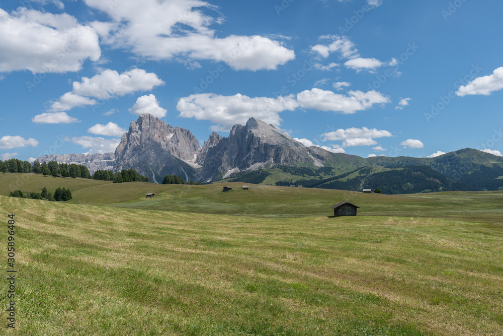Landscapes on Alpe di Siusi with Sassolungo or Langkofel Mountain Group in Background in Summer, South Tyrol, Italy
