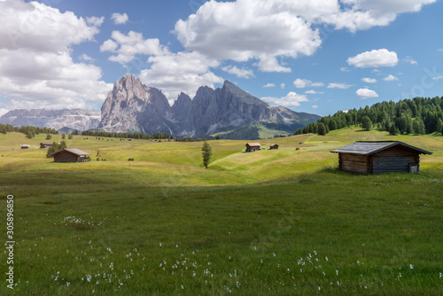 Landscapes on Alpe di Siusi with Sassolungo or Langkofel Mountain Group in Background in Summer, South Tyrol, Italy © Sen