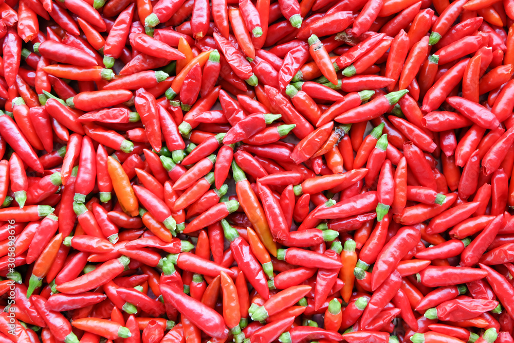 Red chili peppers Red chili peppers