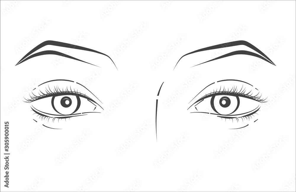 Woman face. Black and white line sketch front portrait Woman face. Black and white line sketch front portrait