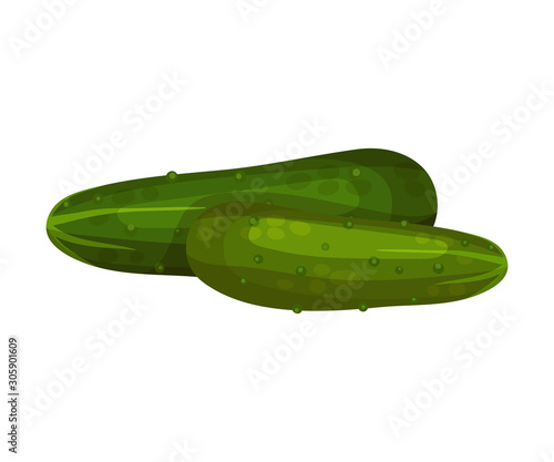 Whole Pimpled Cucumber in Full Length Isolated On White Background