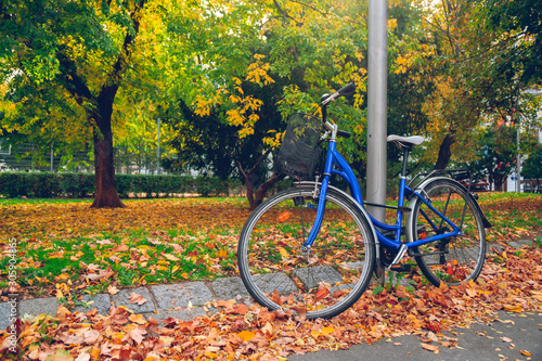 Photography bicycle attached to a pillar in Vienna Park in autumn time