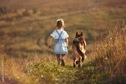 Photography girl and dog walk in the field in summer
