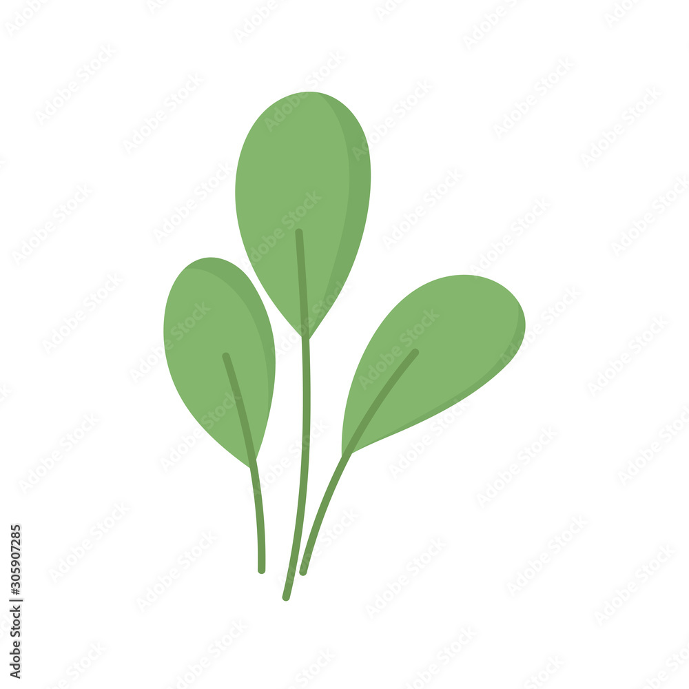 plant leaves foliage nature icon