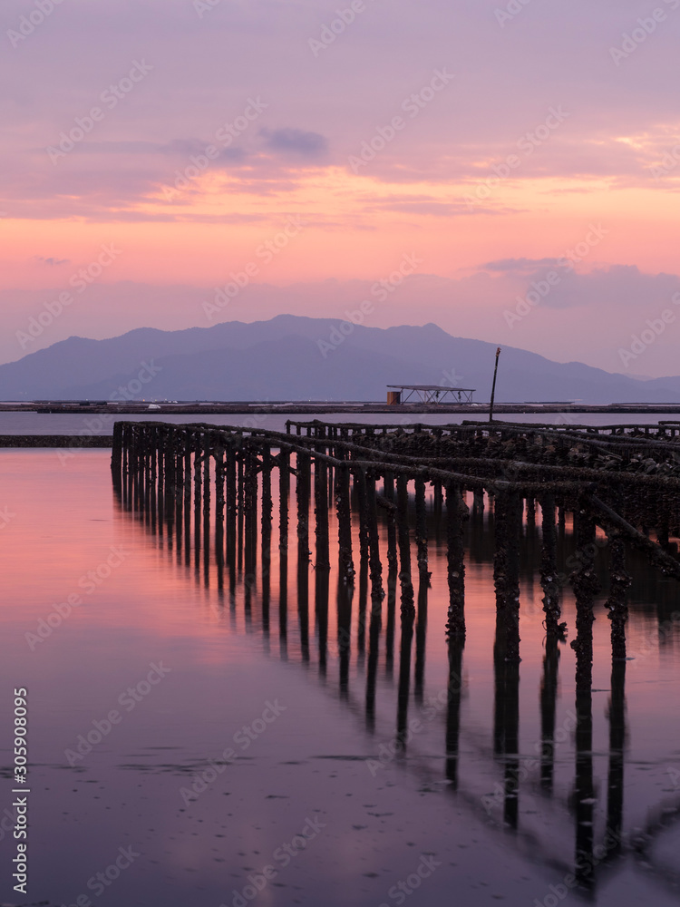 Obraz premium Półka na ostrygi