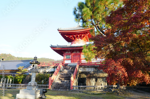 Daikakuji Temple Kyoto,Japan Autunm Season photo