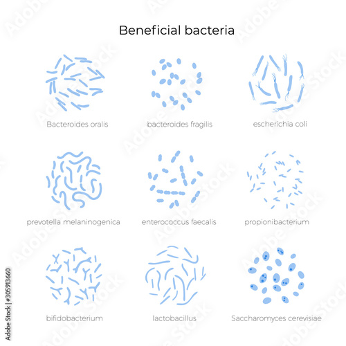Vector isolated illustration of probiotics 