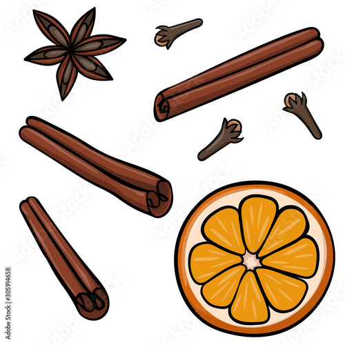 Vector set of cinnamon sticks, star anise, orange, clove which are for winter holiday hot drinks