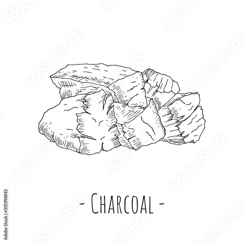 Hand-drawn isolated charcoal. Vector illustration.