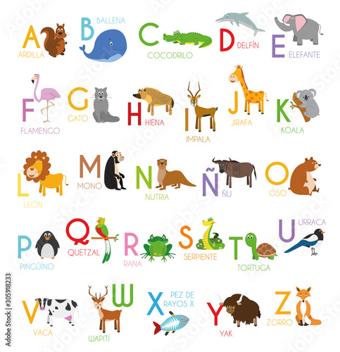 Fototapeta Naklejka Na Ścianę i Meble -  Cute cartoon zoo illustrated alphabet with funny animals. Spanish alphabet. Learn to read. Isolated Vector illustration.