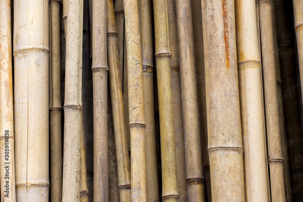 Bamboo fence in garden for bamboo background and texture. Bamboo fence in garden for bamboo background and texture.