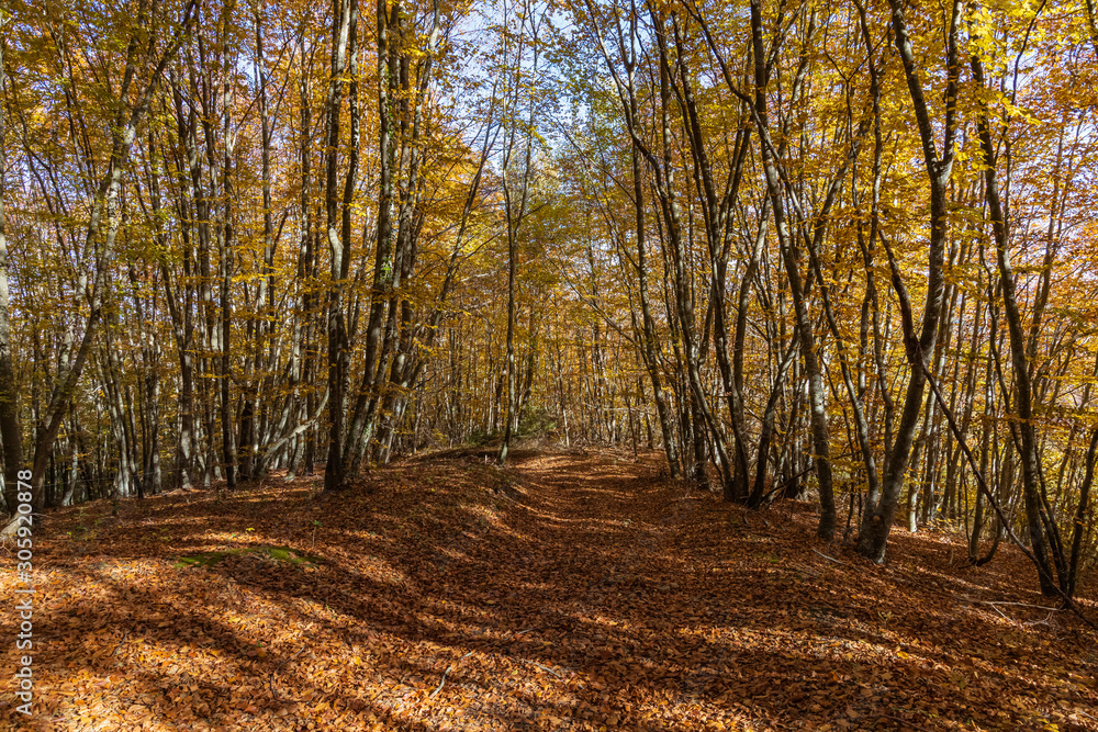 Fototapeta premium Route through the cliffs of Avenc and Tavertet