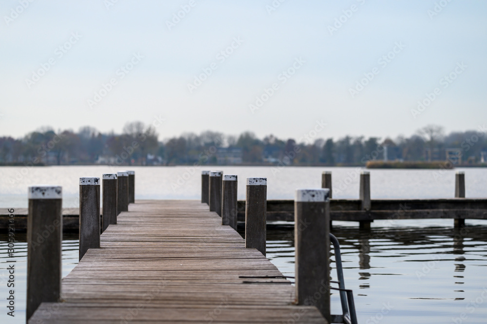 Jetty in a lake with a row of trees and houses in the background.