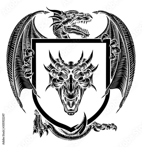 A heraldic medieval coat of arms crest emblem featuring dragon and shield.