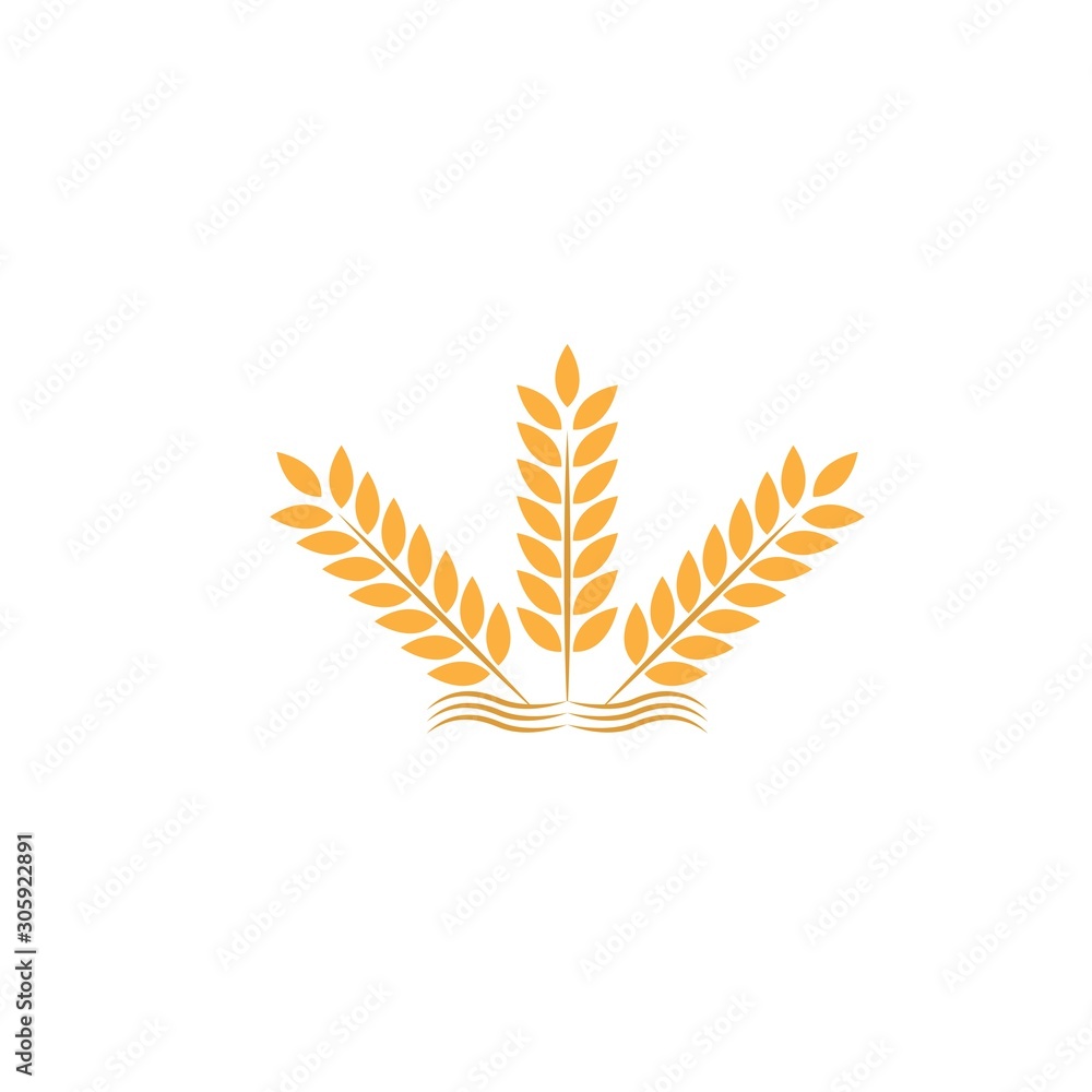 Agriculture wheat Logo Template vector icon Agriculture wheat Logo Template vector icon