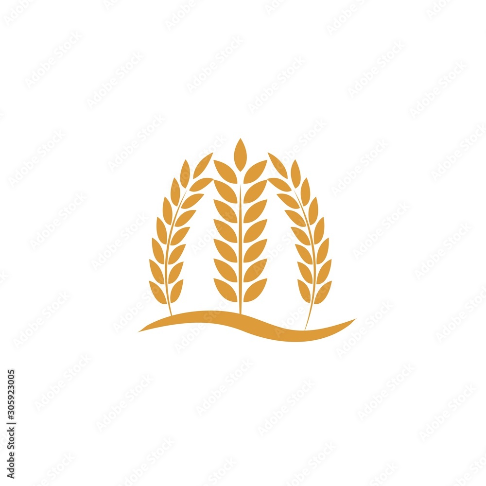 Agriculture wheat Logo Template vector icon Agriculture wheat Logo Template vector icon