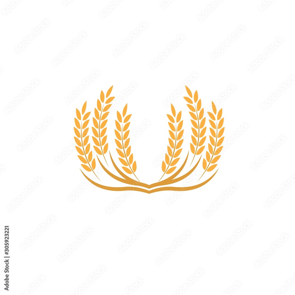 Agriculture wheat Logo Template vector icon Agriculture wheat Logo Template vector icon