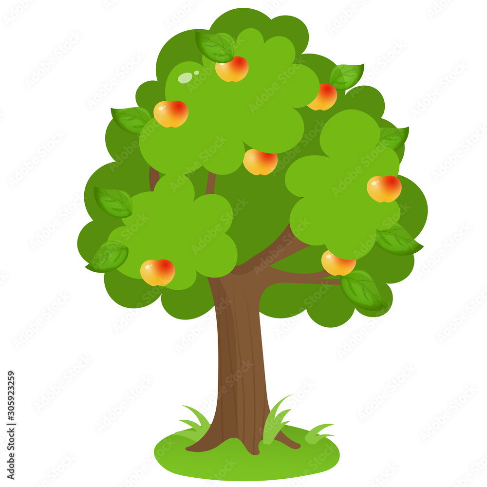 Color image of cartoon apple tree on white background. Fruits and plants. Vector illustration for kids.