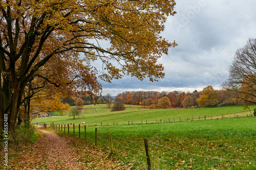 klarenbeek, Arnehem, Netherlands photo