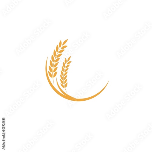 Agriculture wheat Logo Template vector icon
