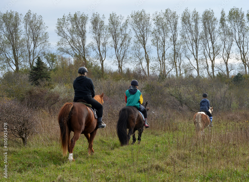 Riding the horses in the countryside in Germany Riding the horses in the countryside in Germany