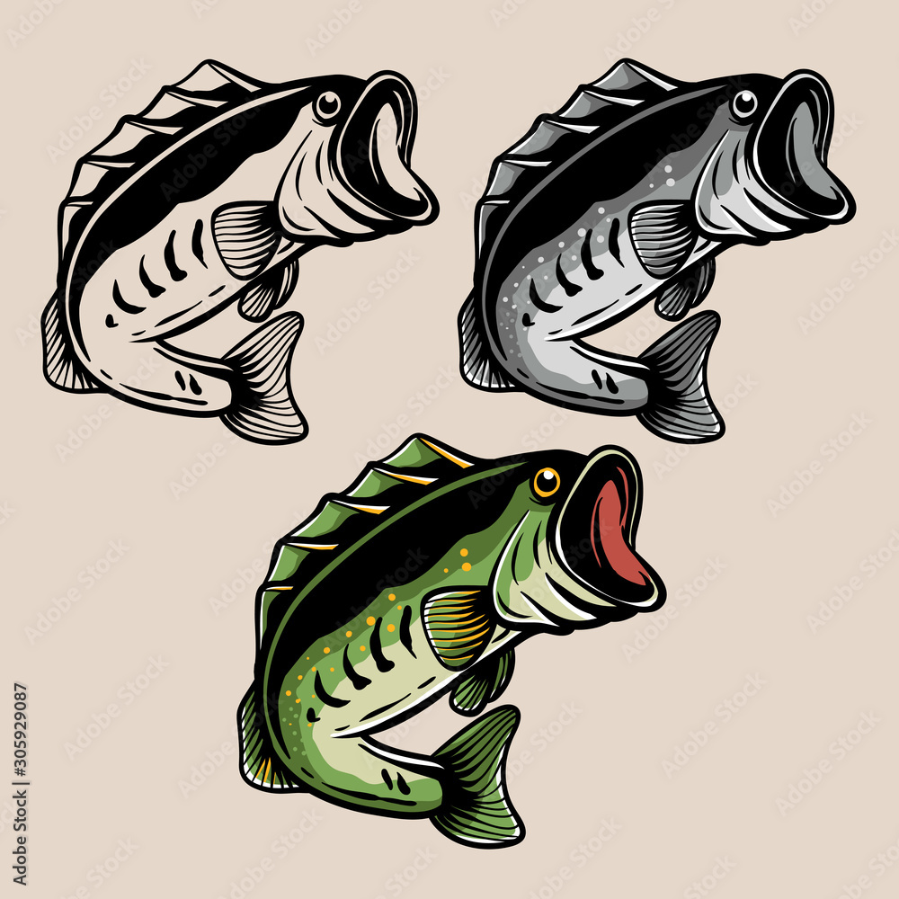 Fishing logo. Bass fish isolated on colour. Largemouth bass fish for tshirt  design, sticker, or emblem. Fish coloring page Stock Vector