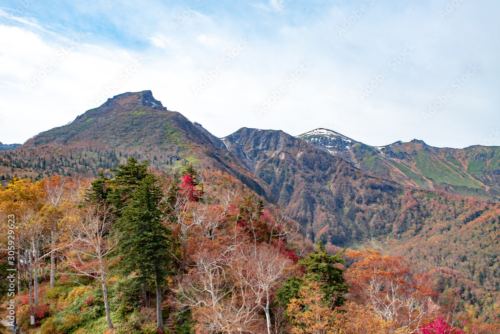 層雲峡の紅葉 黒岳 層雲峡の紅葉 黒岳