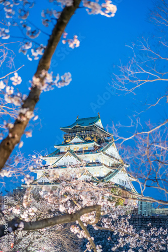 Osaka castle with full bloom cherry blossom beauiful Sakura tree at japan cherry blossom  forecast pink asian flower perfact season to travel and enjoy japanese culture idea long weekend relax © Tony