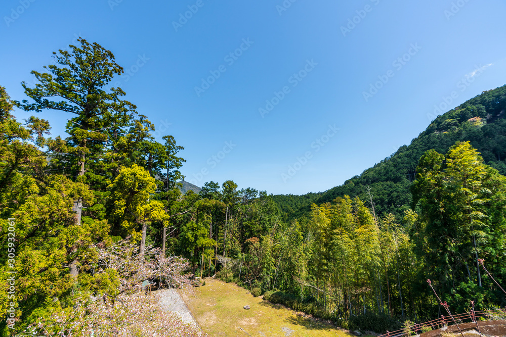 Fototapeta premium Beautiful famous landmark waterfall Nachi Falls in green forest blue sky Nachikatsuura Wakayama Prefecture Japan Nachi Fall is one of the best waterfalls in Japan idea for rest relax enjoy lifestyle