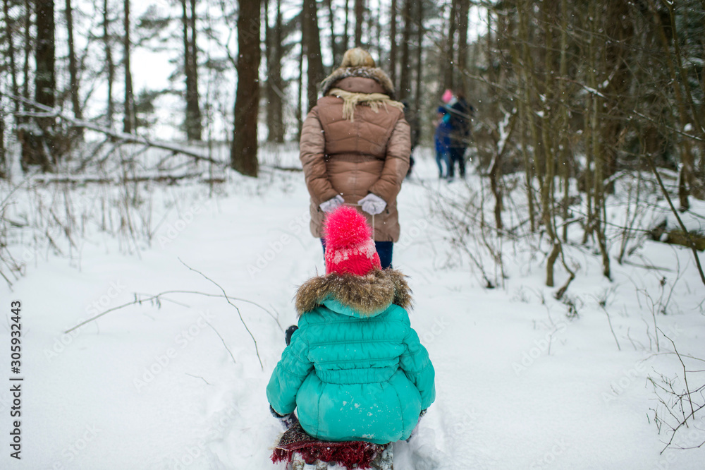 Mother pulling sled with her daughter sitting on it in winter snowy day at nature. Mother pulling sled with her daughter sitting on it in winter snowy day at nature.
