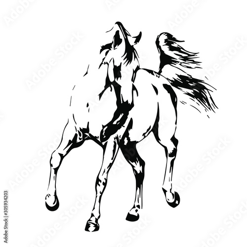 Hand drawn horse vector isolated on a transparent background