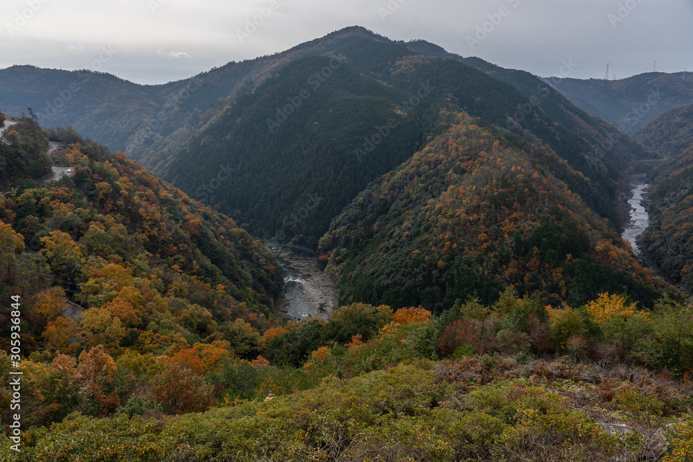 Fototapeta premium 高雄パークウェイ