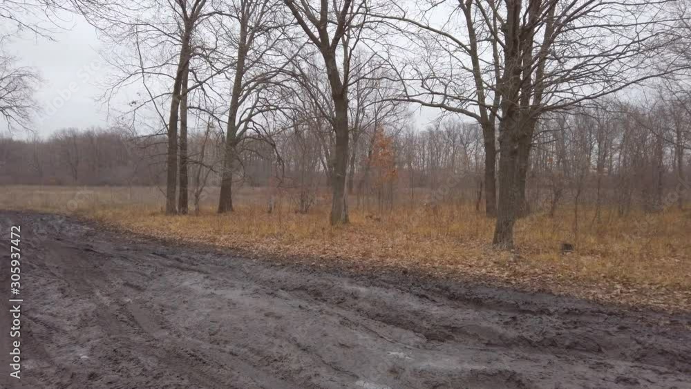 Panorama Bad slushy road in the forest in late autumn on a cloudy day Panorama Bad slushy road in the forest in late autumn on a cloudy day