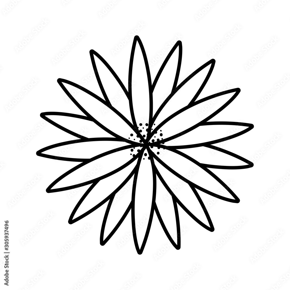 Fototapeta premium flower decoration nature on white background thick line