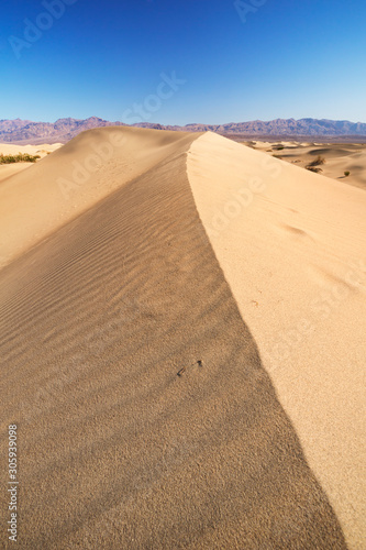 Mesquite Flat Sand Dunes in Death Valley National Park