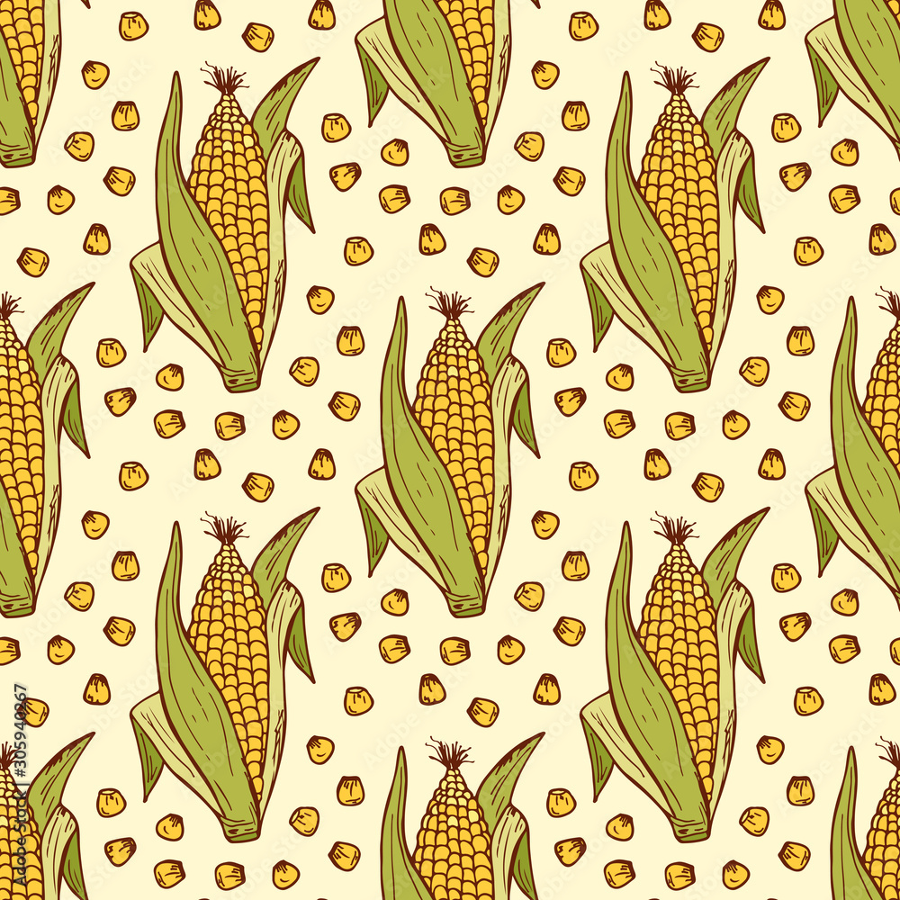 Vector Vegetable background. Hand drawn doodle Corn cobs and corn grains Seamless pattern Vector Vegetable background. Hand drawn doodle Corn cobs and corn grains Seamless pattern