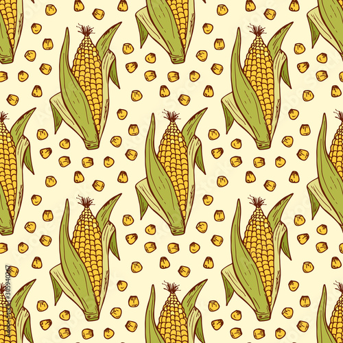 Vector Vegetable background. Hand drawn doodle Corn cobs and corn grains Seamless pattern