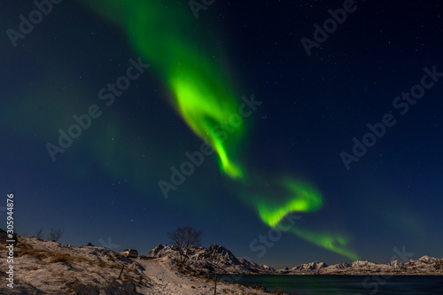 Dramatic polar lights, Aurora borealis over the mountains in the North of Europe - Lofoten islands, Norway © Tatiana
