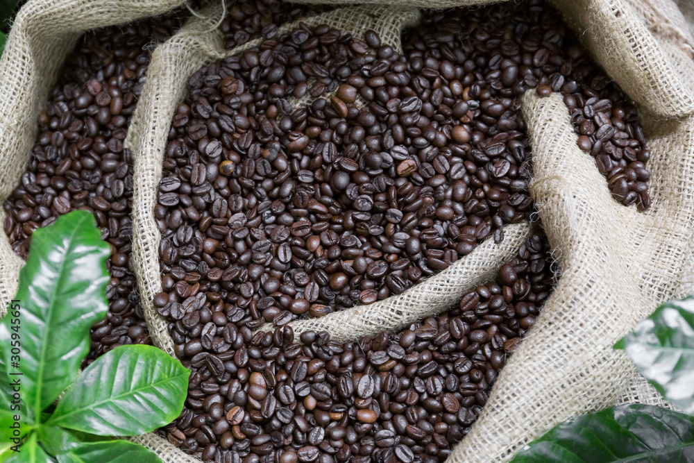 Coffee beans in a canvas bag.
