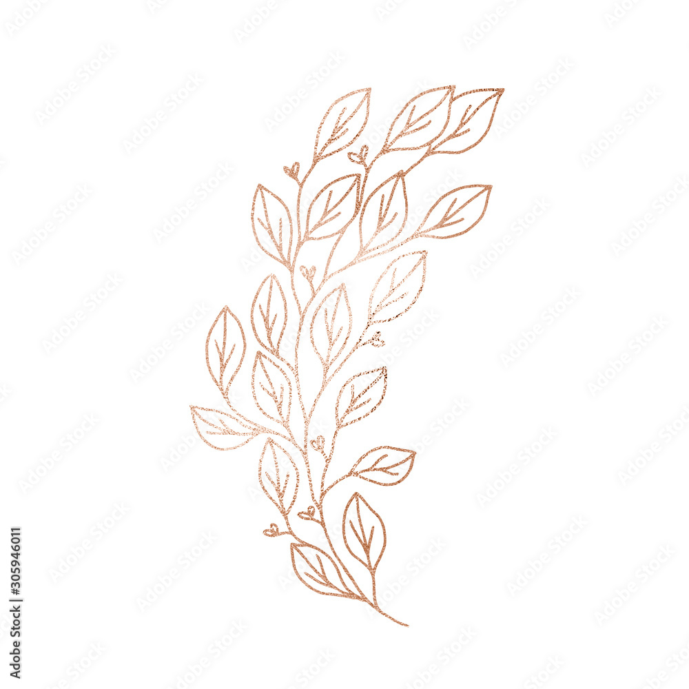 Gold line flower house leaf plant Gold line flower house leaf plant