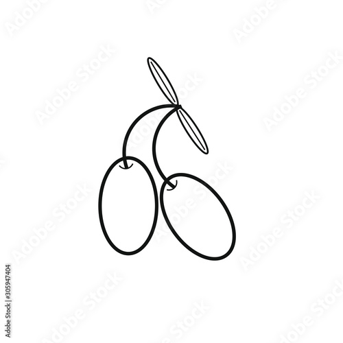 Spanish typical olives icon vector