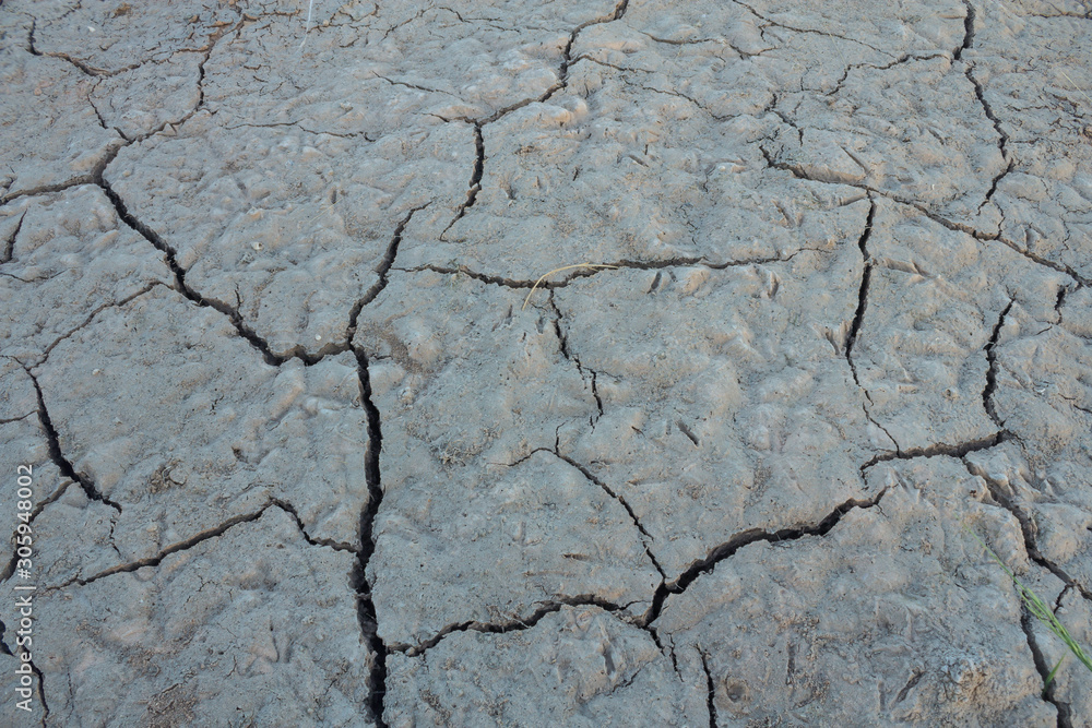 Fototapeta premium Cracked soil