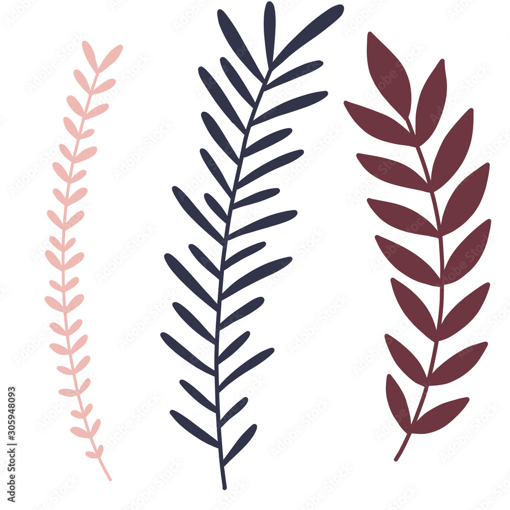 Fototapeta premium Flower Plant Leaf Home Cozy