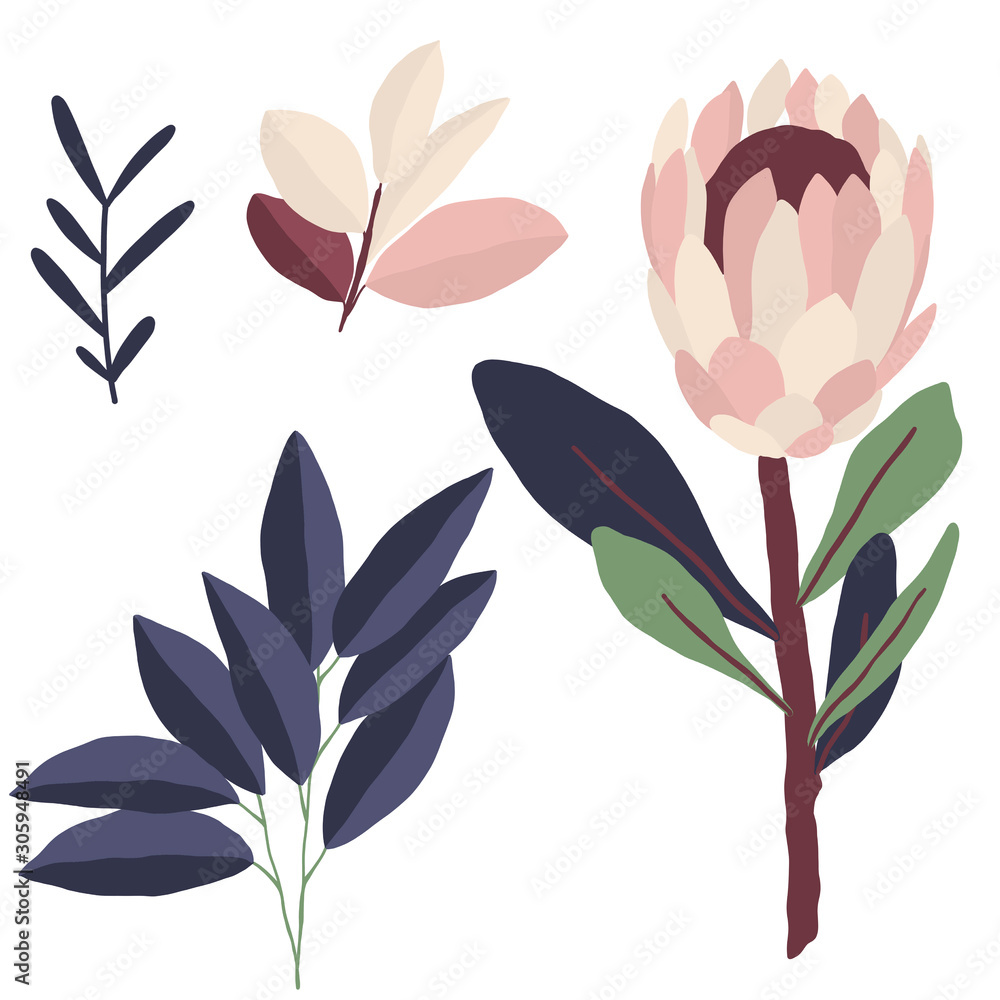 Flower Plant Leaf Home Cozy Flower Plant Leaf Home Cozy
