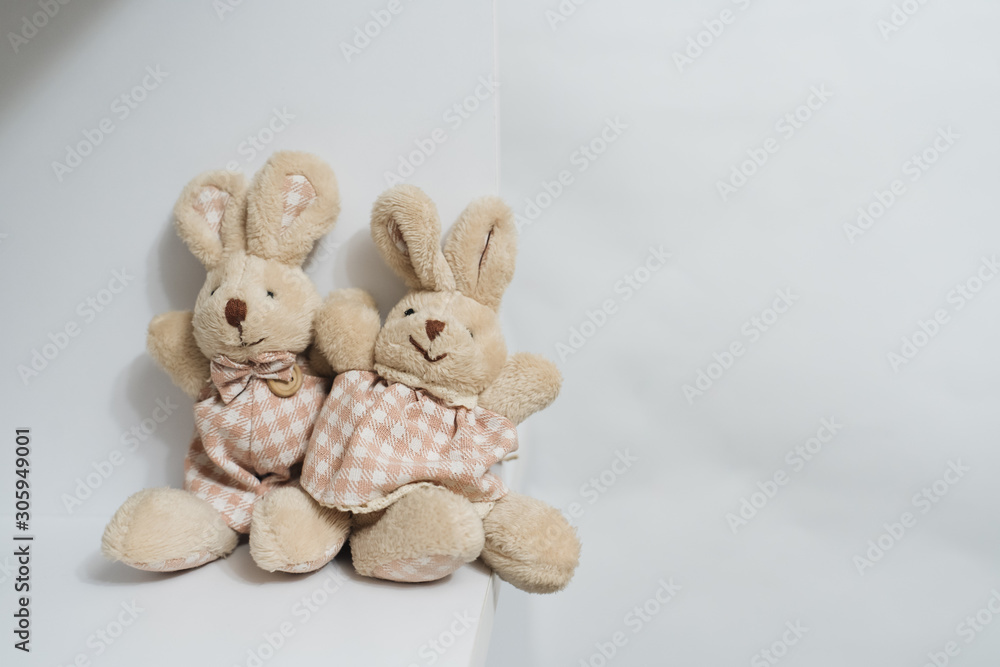 Cute rabbit toys on white background 