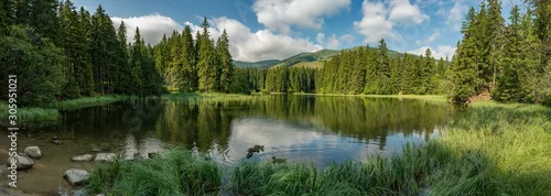 Panel kuchenny z motywem lake in the forest in lower tatra mountains