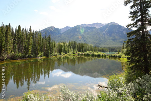 Fototapeta Naklejka Na Ścianę i Meble -  British Columbia Rocky Mountains Alberta landscapes with pine trees and lakes
