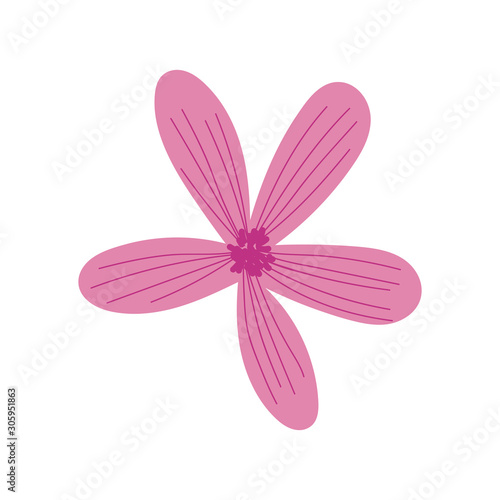 Isolated flower drawing vector design